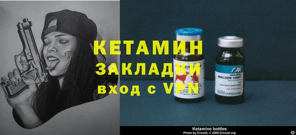 шишки Аркадак