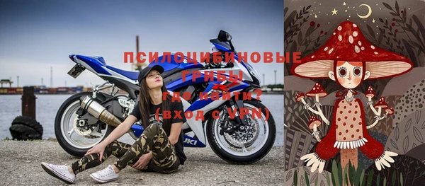 шишки Аркадак