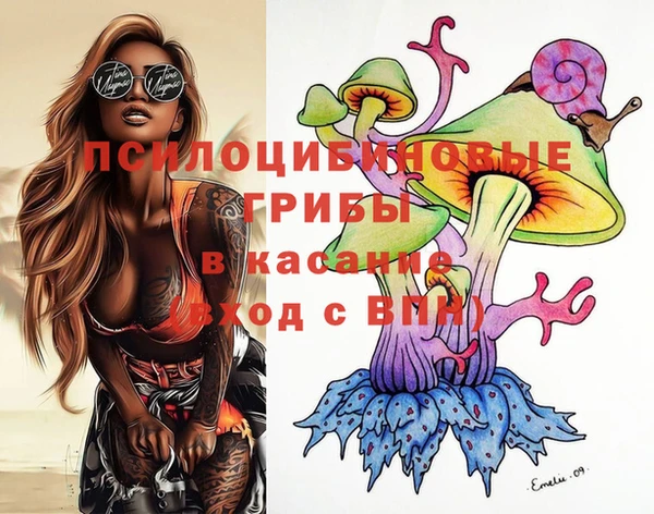 шишки Аркадак