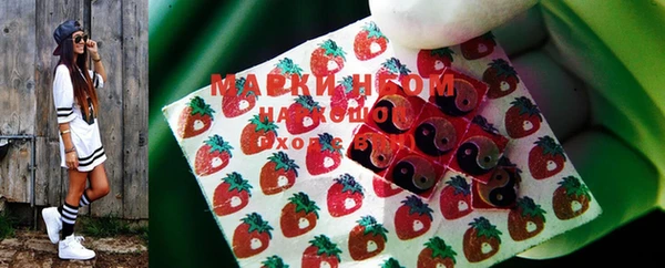 шишки Аркадак