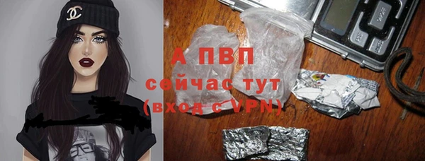 шишки Аркадак