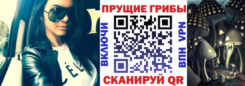 Псилоцибиновые грибы Psilocybine cubensis  хочу   Белёв 